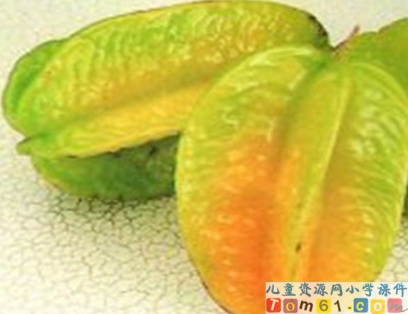 画杨桃
