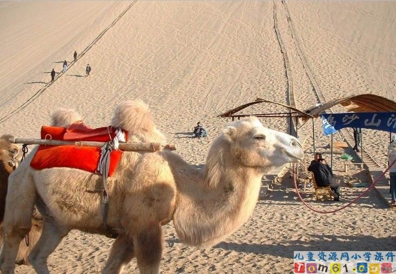 想别人没想到的