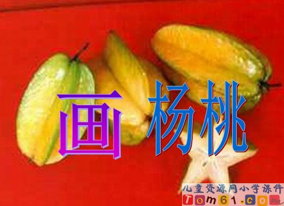 画杨桃