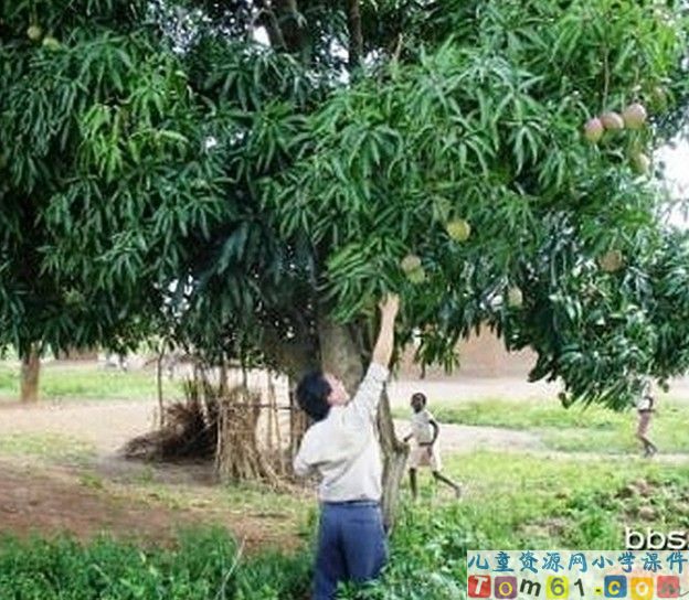 买木雕的少年