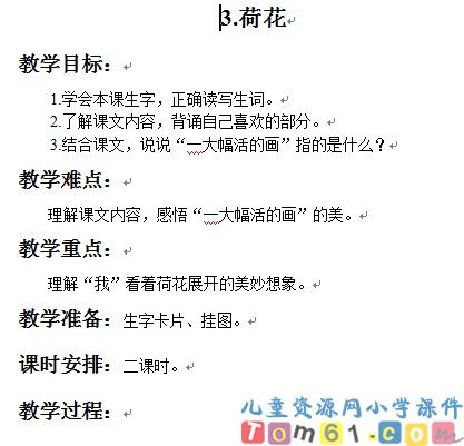 荷花