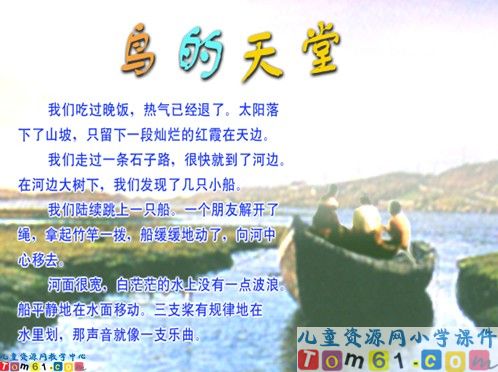 鸟的天堂课件4
