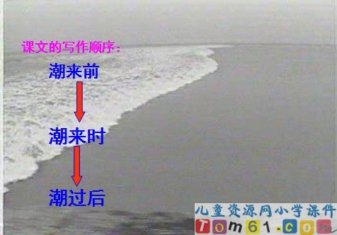 观潮课件3
