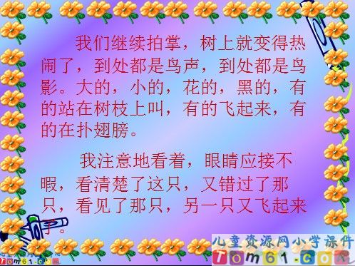 鸟的天堂课件6