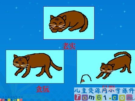 猫课件1