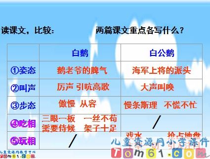 白公鹅课件4