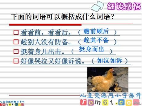 母鸡课件2