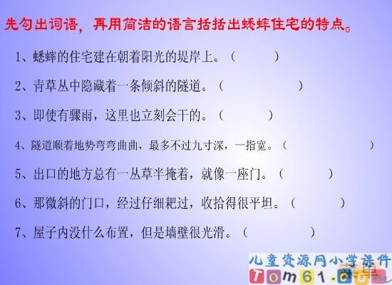 蟋蟀的住宅课件5