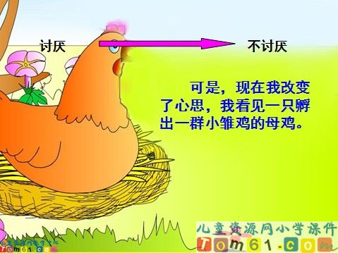母鸡课件4