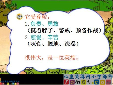 母鸡课件3