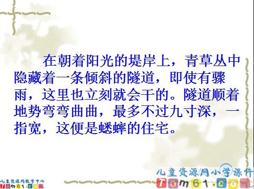 蟋蟀的住宅课件3