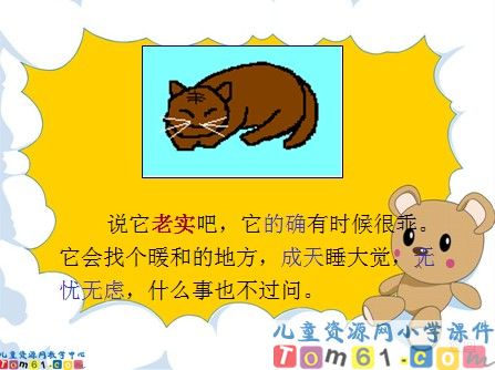 猫课件3