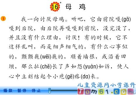 母鸡课件1