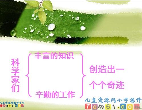 飞船上的特殊乘客课件4