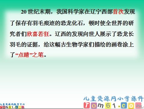 飞向蓝天的恐龙课件5