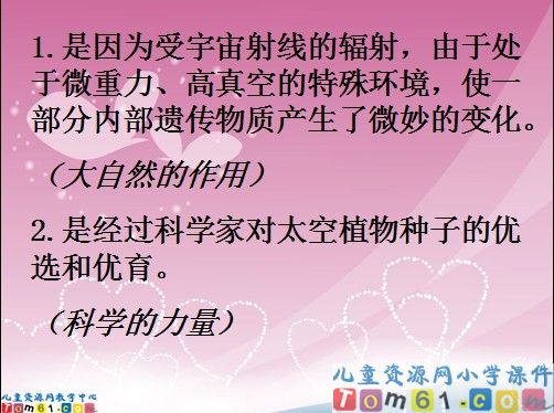 飞船上的特殊乘客课件5