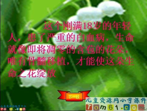 跨越海峡的生命桥课件7