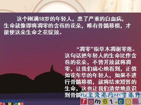 跨越海峡的生命桥课件5