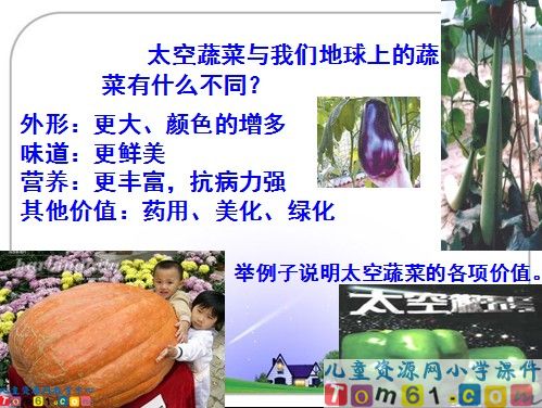 飞船上的特殊乘客课件3