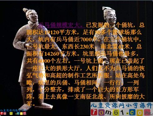 秦兵马俑课件1