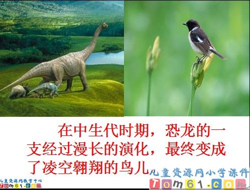飞向蓝天的恐龙课件3