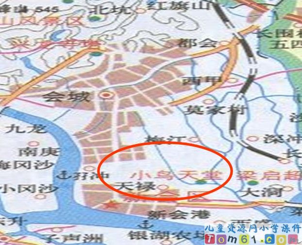 鸟的天堂