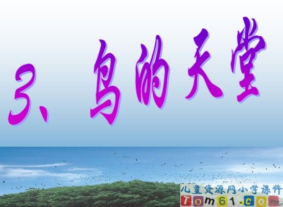 鸟的天堂