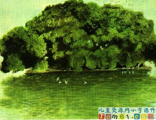 鸟的天堂
