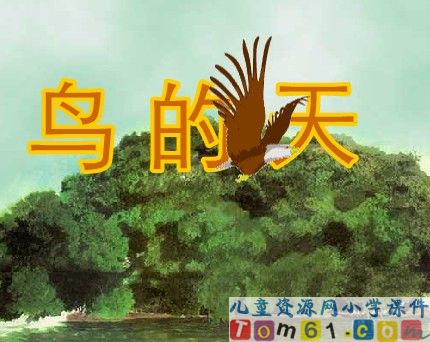 鸟的天堂