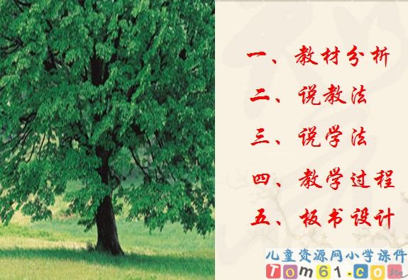 鸟的天堂