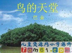 鸟的天堂