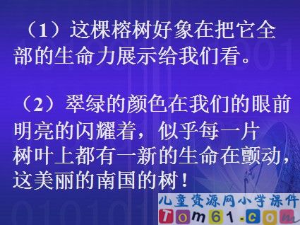 鸟的天堂