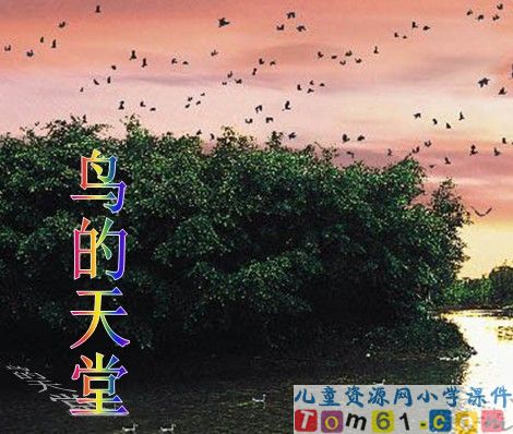 鸟的天堂