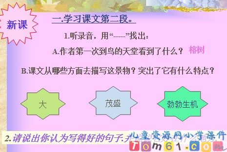 鸟的天堂