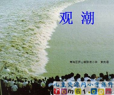 观潮
