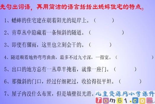 蟋蟀的住宅