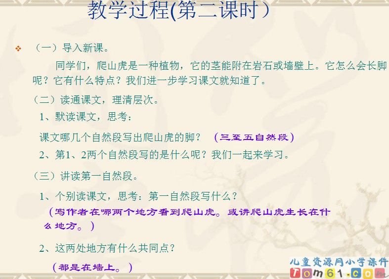 爬山虎的脚