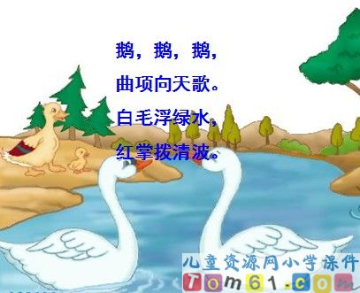 白鹅