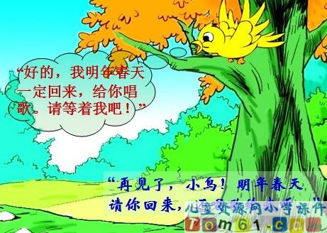 去年的树
