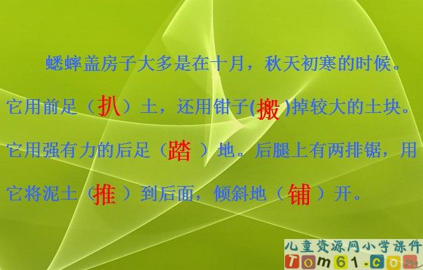 蟋蟀的住宅