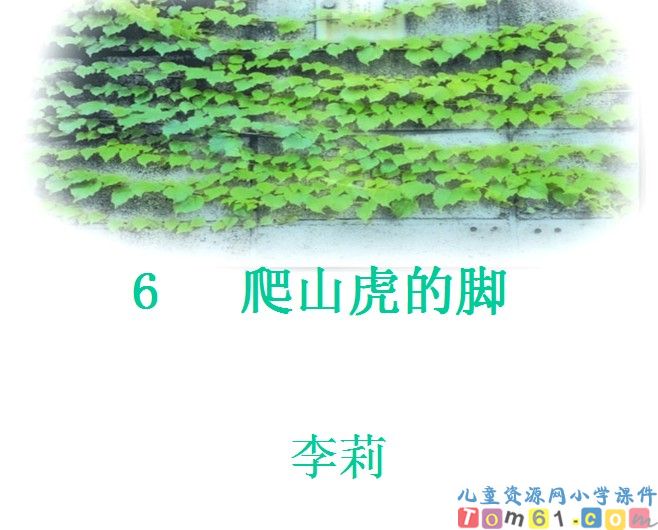 爬山虎的脚
