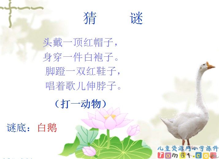 白鹅