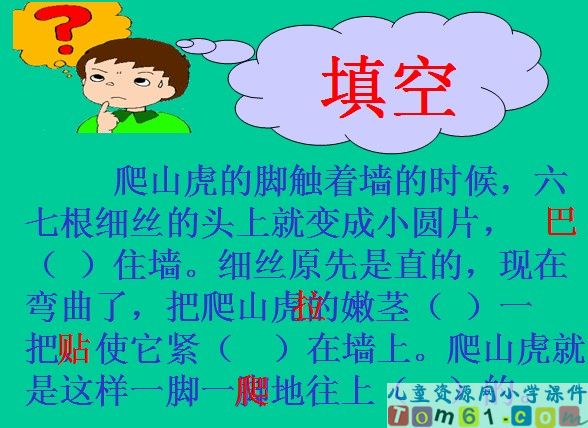 爬山虎的脚