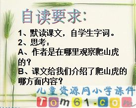 爬山虎的脚