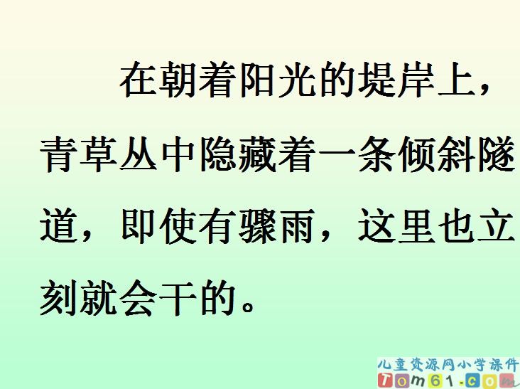 蟋蟀的住宅