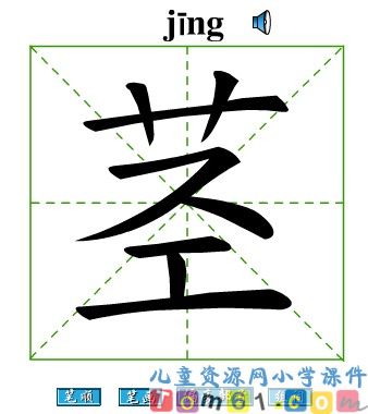 爬山虎的脚