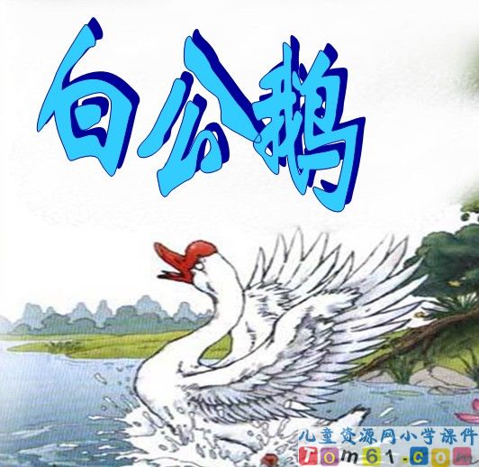 白公鹅