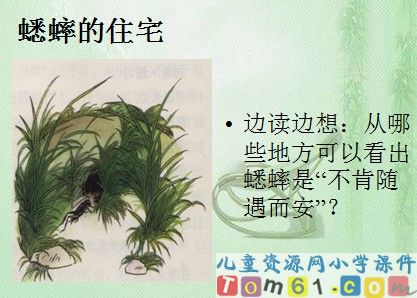蟋蟀的住宅