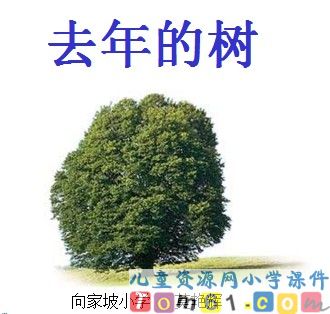 去年的树