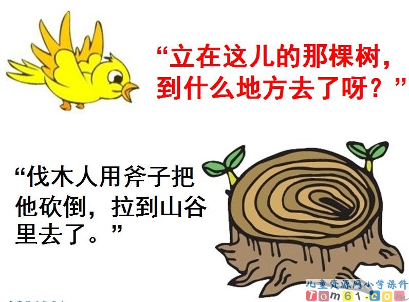 去年的树